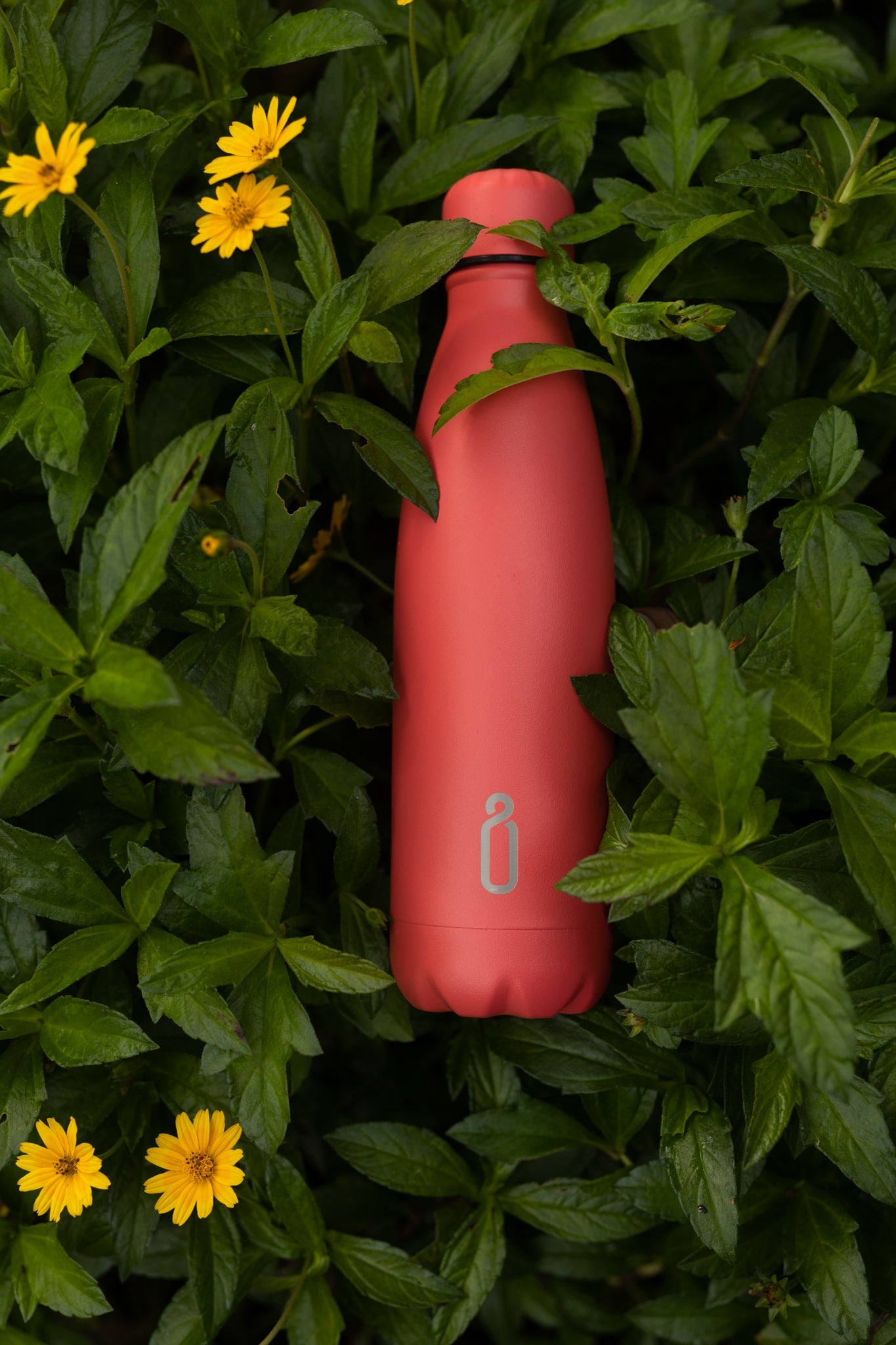 Buy Mono White Reusable Water Bottle Online - Unbottle